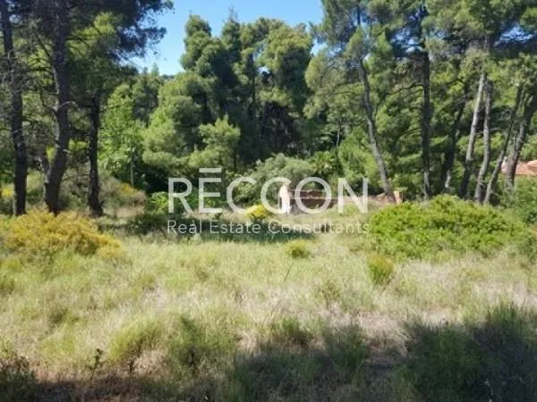 Plot 500m²  - 5