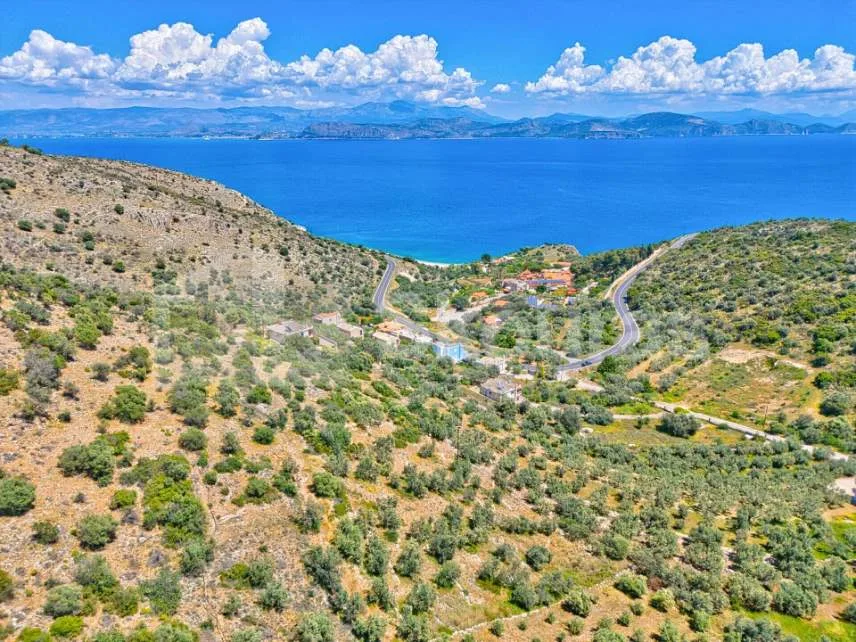 Αγροτεμάχιο 4260τ.μ.  - 2