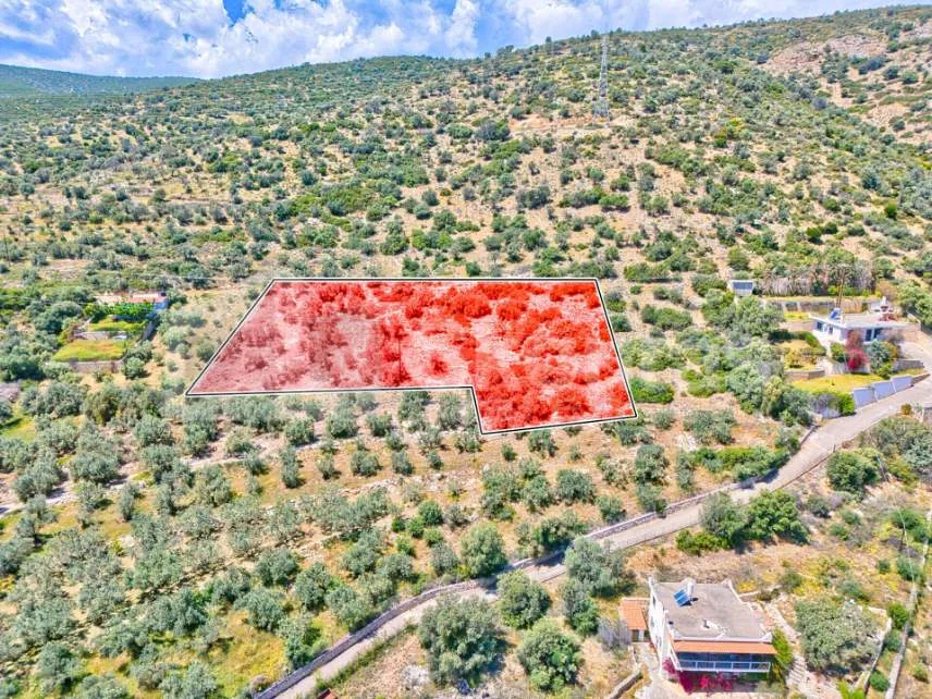 Αγροτεμάχιο 4260τ.μ.  - 3