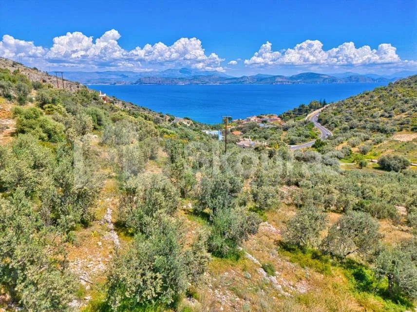 Αγροτεμάχιο 4260τ.μ.  - 4