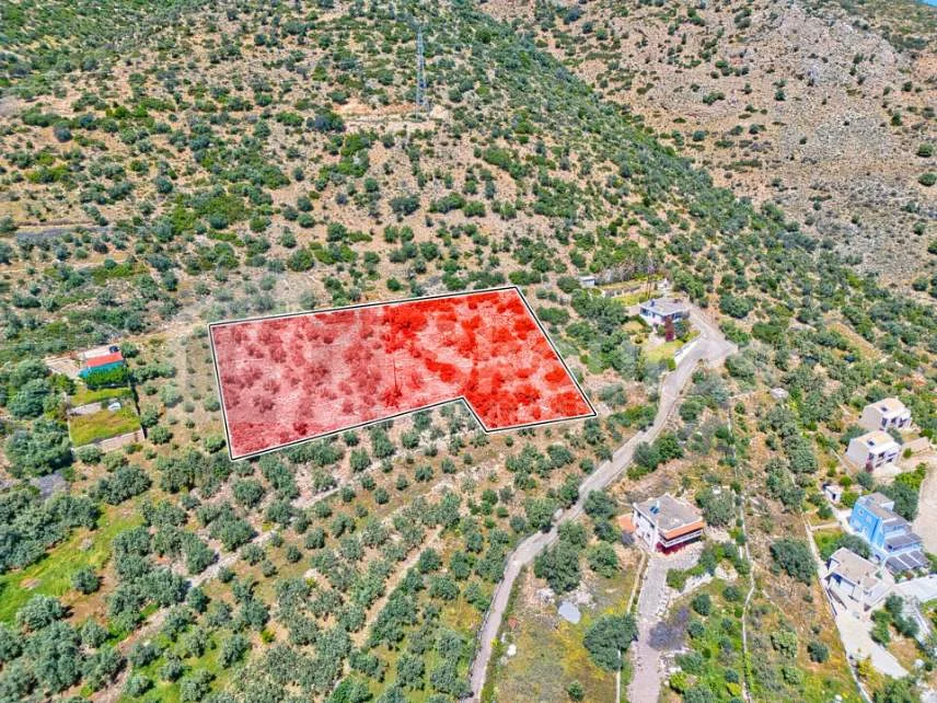 Αγροτεμάχιο 4260τ.μ.  - 5