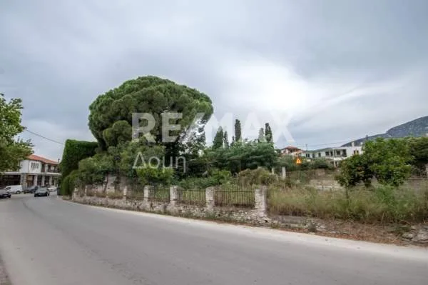 Detached house 528m²  - 5