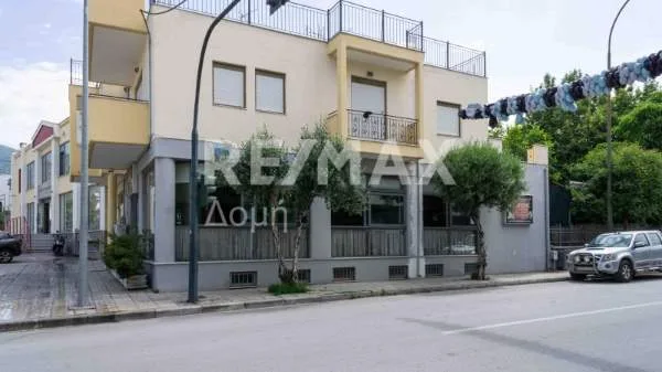 Hall / Showroom 150m²  - 3