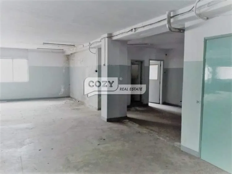 Βιοτεχνικοί / Βιομηχανικοί χώροι 2650τ.μ.  - 2