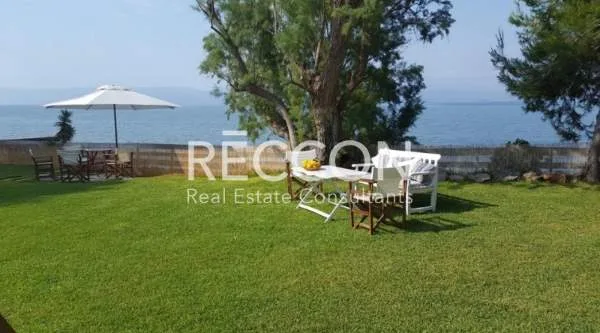 Detached house 250m²  - 3