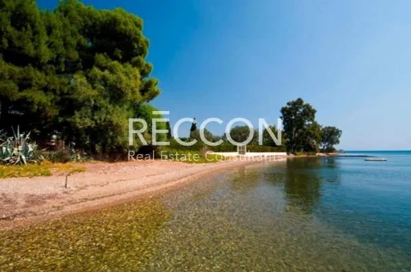 Detached house 250m²  - 4