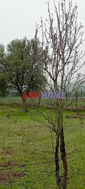 Land Parcel 5340m²  - 2