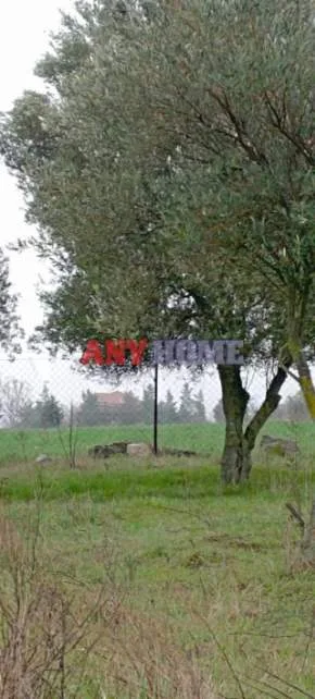 Land Parcel 5340m²  - 3