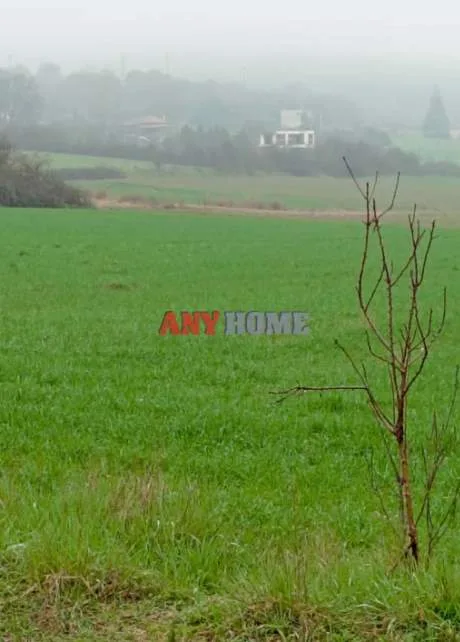 Land Parcel 5340m²  - 4