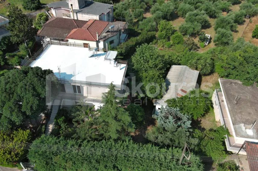 Μονοκατοικία 252τ.μ.  - 4