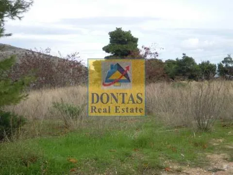 Plot 1550m²  - 4