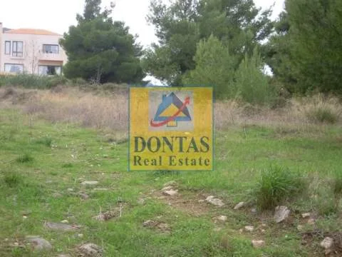 Plot 1550m²  - 5