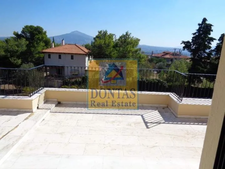 Detached house 600m²  - 3
