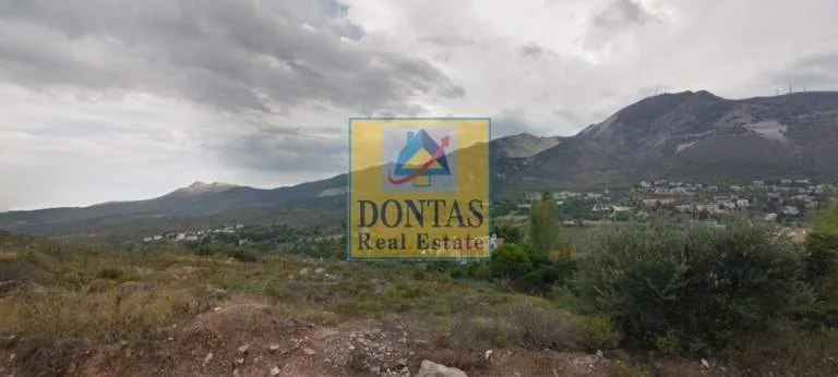 Plot 810m²  - 3
