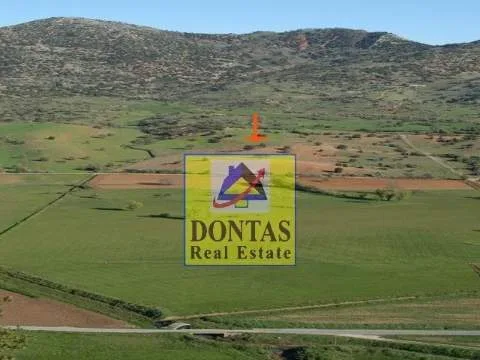 Άλλο.. 38500τ.μ. Έκταση  - 4