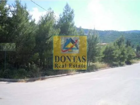 Plot 800m²  - 2