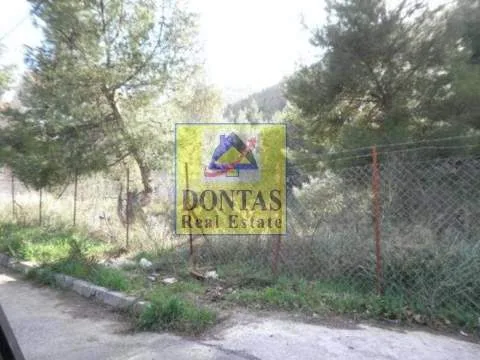 Plot 800m²  - 2