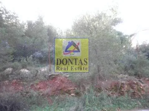 Plot 800m²  - 3