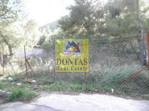 Plot 800m²  - 4