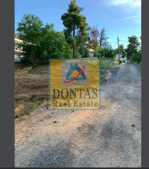Plot 800m²  - 2