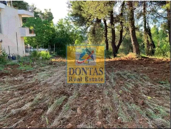 Plot 800m²  - 3