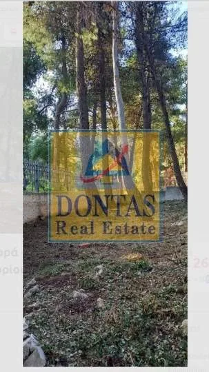 Plot 830m²  - 4
