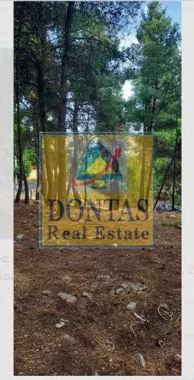 Plot 830m²  - 5