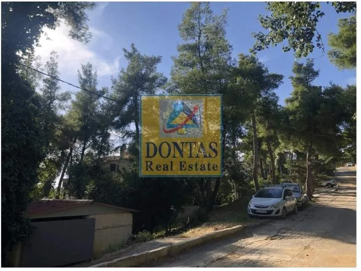 Plot 800m²  - 2