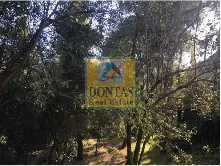 Plot 800m²  - 3