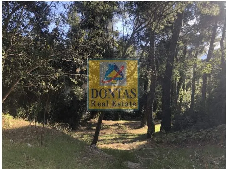 Plot 800m²  - 4