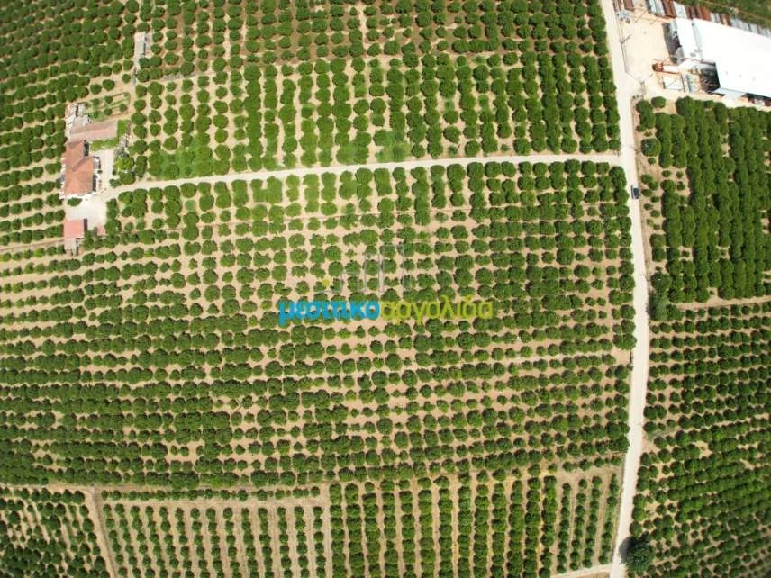 Αγροτεμάχιο 18000τ.μ.  - 4