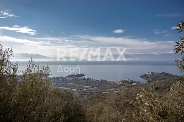 Αγροτεμάχιο 11360τ.μ.  - 2