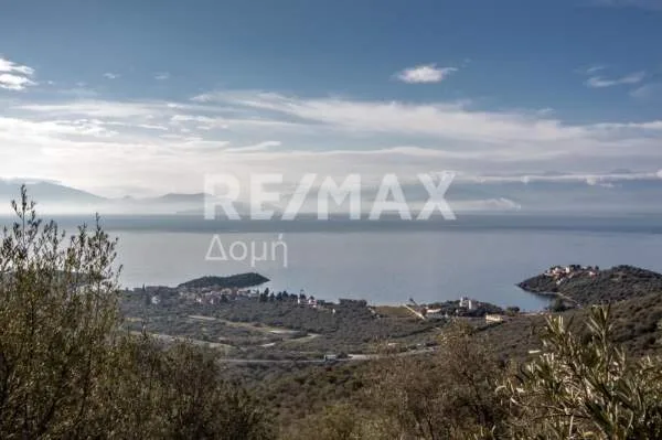 Αγροτεμάχιο 11360τ.μ.  - 3