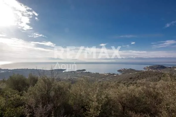 Αγροτεμάχιο 11360τ.μ.  - 4