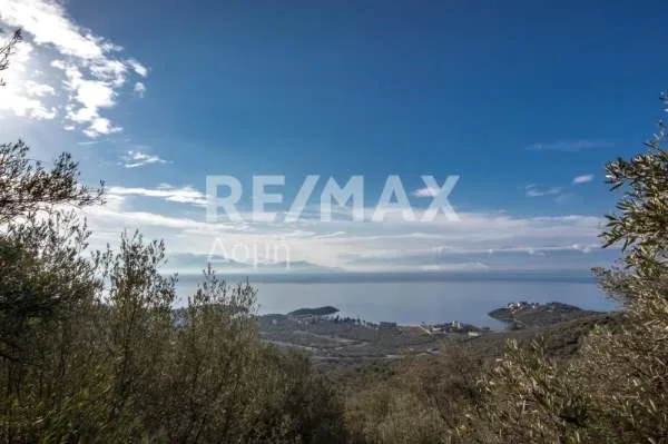 Αγροτεμάχιο 11360τ.μ.  - 5