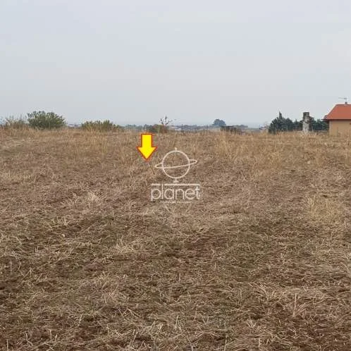 Αγροτεμάχιο 5930τ.μ.  - 5