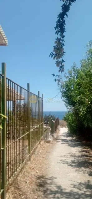Αυτόνομο κτήριο γραφείων 1100τ.μ.  - 3