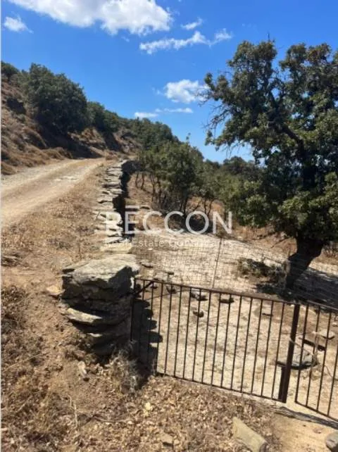 Land Parcel 9700m²  - 3