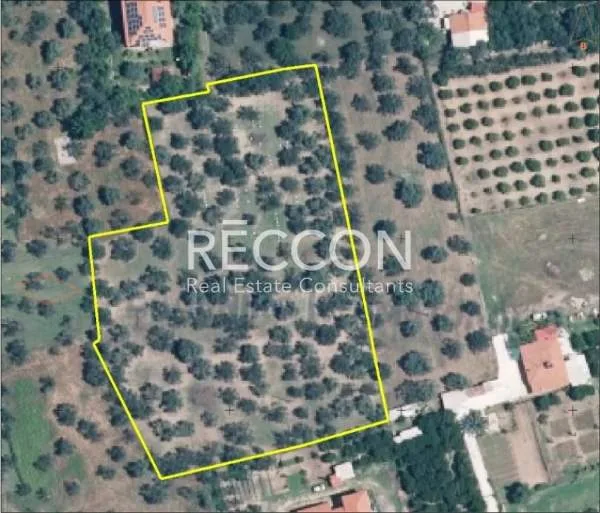 Land Parcel 7300m²  - 2