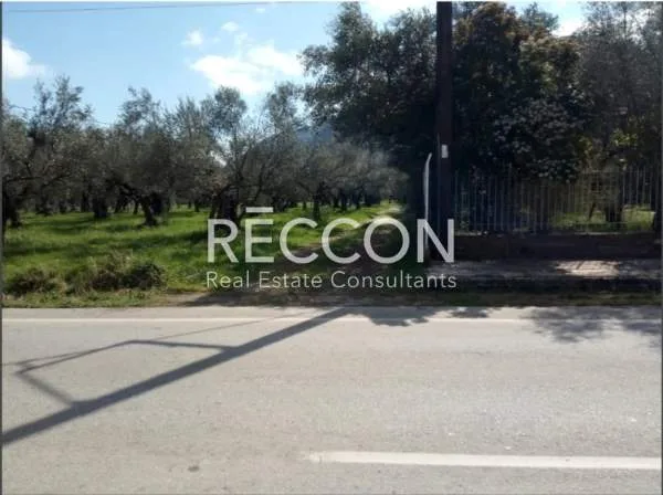 Land Parcel 7300m²  - 3