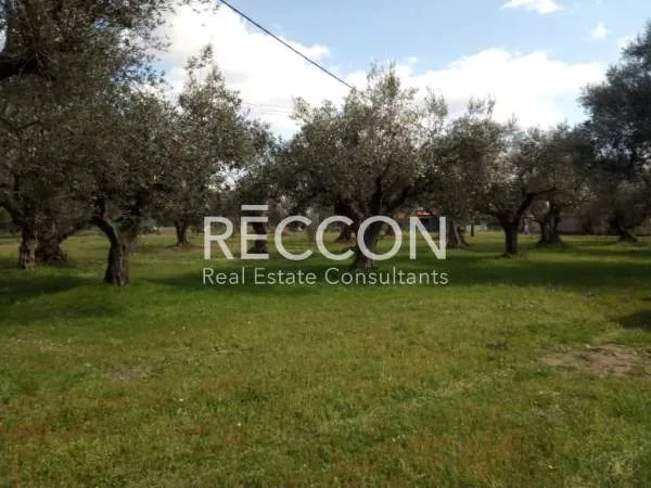 Land Parcel 7300m²  - 4