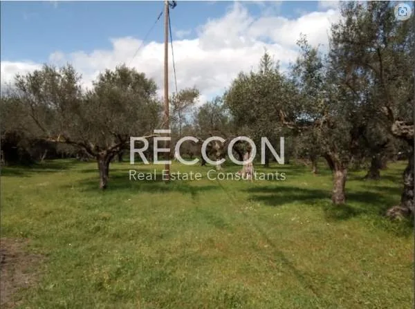 Land Parcel 7300m²  - 5