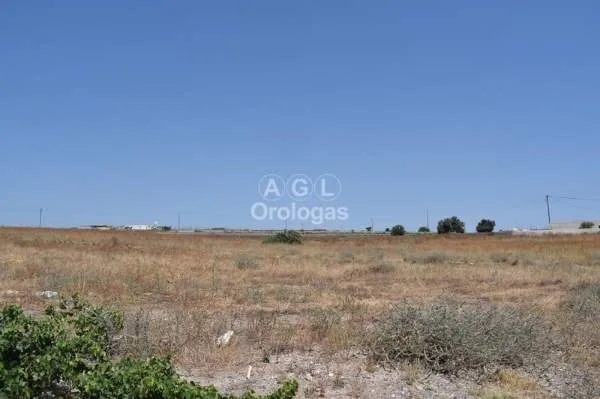 Αγροτεμάχιο 2650τ.μ.  - 3