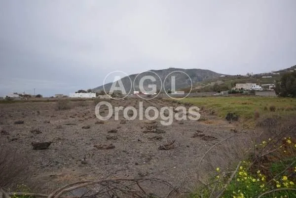 Αγροτεμάχιο 7200τ.μ.  - 2