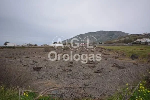 Αγροτεμάχιο 7200τ.μ.  - 3
