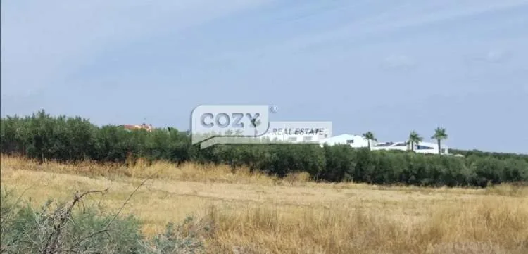 Αγροτεμάχιο 300τ.μ.  - 4