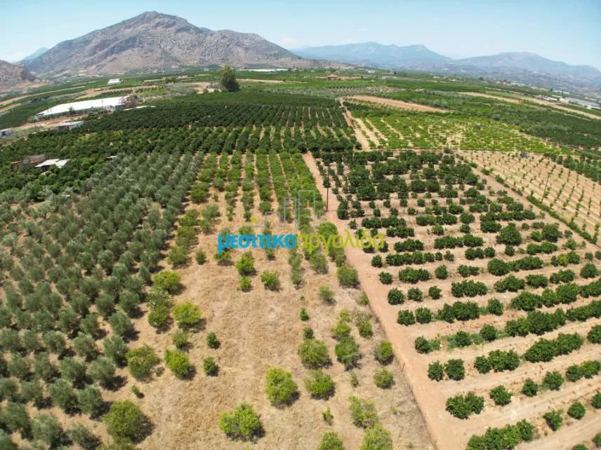 Αγροτεμάχιο 5500τ.μ.  - 2