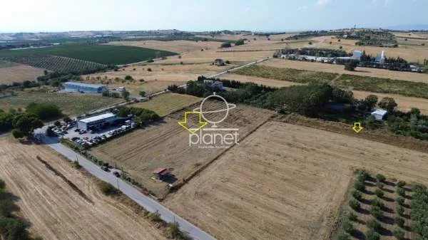 Land Parcel 11650m²  - 2