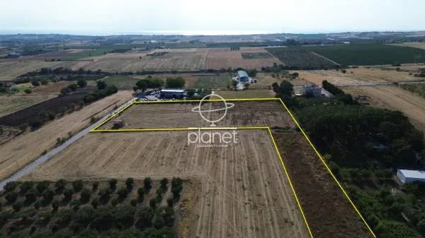 Land Parcel 11650m²  - 3
