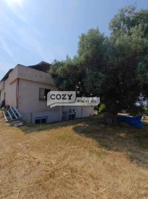 Standalone residential building 600m²  - 3